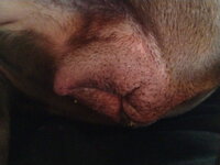 IMG_20250616_220129.jpg