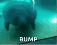 1750476314476.gif
