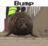 1750477105291.gif