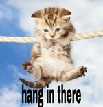 IMG_5433.jpeg