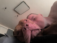 IMG_20250622_164640.jpg