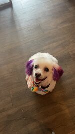 IMG_6472.jpeg