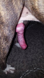 20170805_033438.jpg