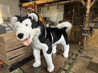 IMG_1769.jpeg