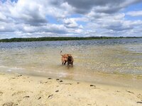 IMG_20250628_101321.jpg