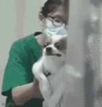 hfdgh.gif