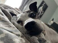 IMG_0791.jpeg
