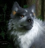 IMG_5835.jpeg