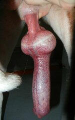 knot.jpeg
