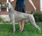 dutch_18mos.jpg dutch_18mos.jpg