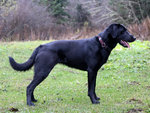 blaze-stack-20-months.jpg blaze-stack-20-months.jpg