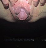 20250711_025705_1.gif