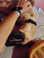 IMG_20250709_142418285.jpg