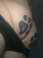 IMG_0534.jpeg