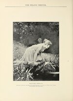 The Inland printer _ Free Download, Borrow, and Streaming _ Internet Archive.jpg