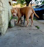 IMG_1581.jpeg