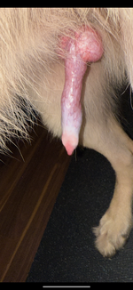 IMG_3713.png