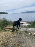 IMG_5904.jpeg