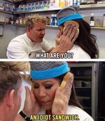 idiot sandwhich.jpg