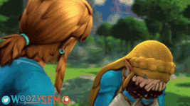 zelda-anal.gif
