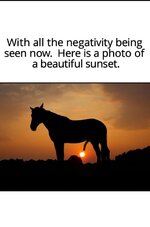 IMG_4425.jpeg