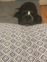 IMG_3062.jpeg