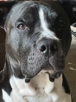 IMG_2704.jpeg