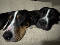 IMG_0923.jpeg
