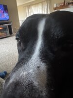 IMG_0857.jpeg