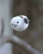1753692514600.jpeg