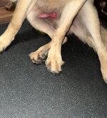 IMG_3769.jpeg