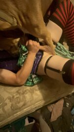 IMG_0654.jpeg