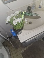 IMG_20250710_004455_824.jpg