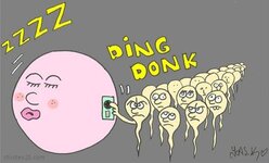 34963_ding-dong.jpg