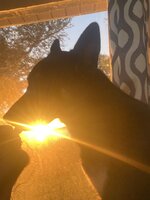 IMG_7183.jpeg