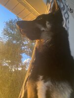 IMG_7186.jpeg
