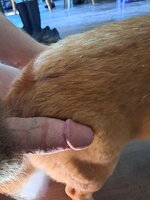 20250817_105158.jpg