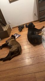 IMG_1256.jpeg