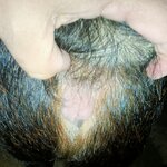 IMG20250826190935.jpg