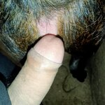 IMG20250826191230.jpg