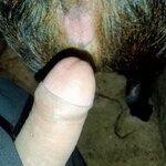 IMG20250826191235.jpg