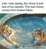 1756551296148.jpeg