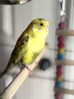 IMG_3104.jpeg