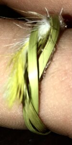 IMG_2212.jpeg