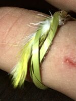IMG_2211.jpeg