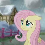 C7514455-2764-46E7-A3DA-2FDA0430B1F6.jpeg