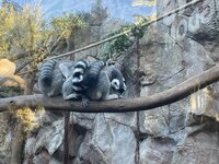 IMG_2873.jpeg