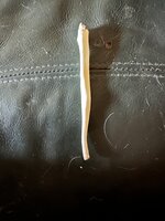IMG_2288.jpeg