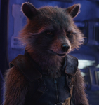 Rocket_Raccoon_prof.png