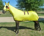 horse-costumes-pikachu.jpg